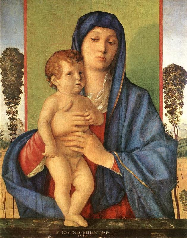 BELLINI, Giovanni Madonna degli Alberetti  25